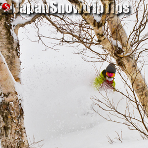 JapanSnowtripTips-thumb-cheap-tree-snowboarding-skiing-japan-001