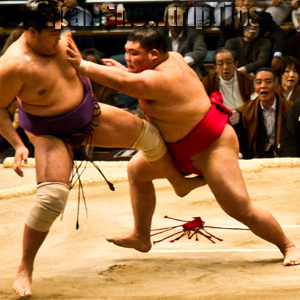 JapanSnowtripTips-thumb-sumo-wrestling-match-osaka-japan-001