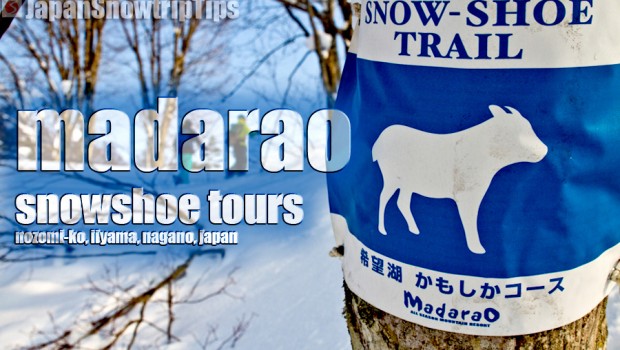 JapanSnowtripTips-madarao-snowshoeing-tours-miiyama-nagano-japan