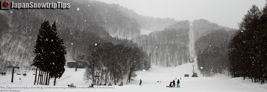JapanSnowtripTips-Tangram-Ski-Circus-Skiing-Snowboarding-Niigata-Nagano-Japan